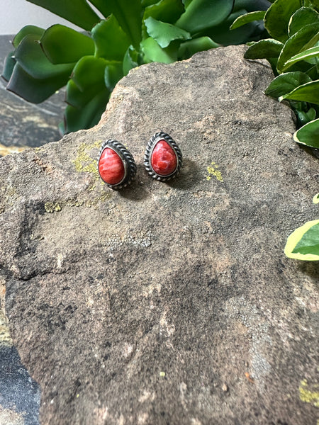 Spiny Oyster Tear Drop Earring