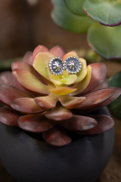 ALZ Mini & Small Star Post Earrings