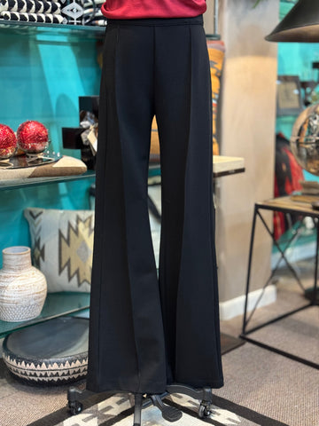 Double D Espinoza Pant