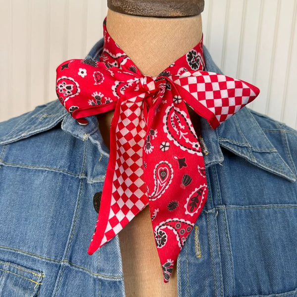 Fringe Scarves Luck Be A Paisley Twilly