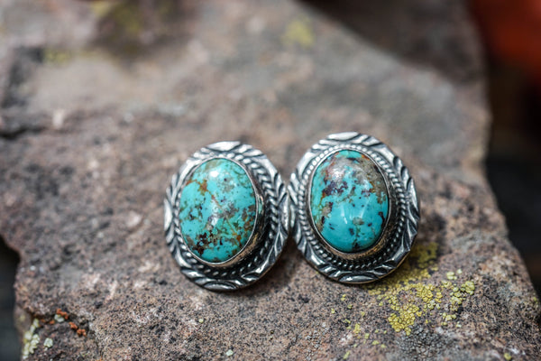 Assorted Turquoise Earring