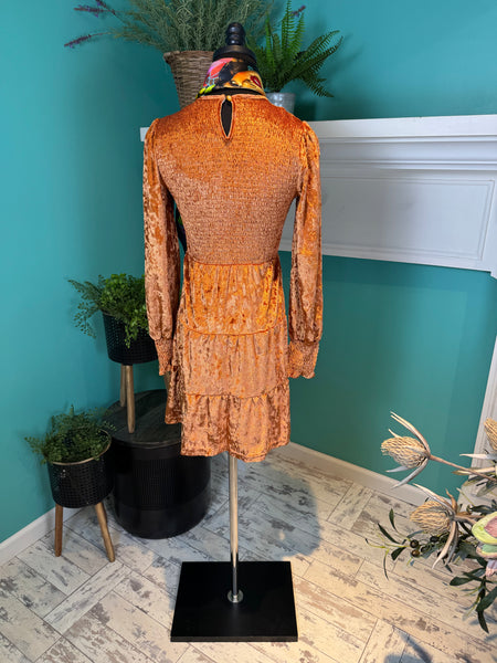Rosa Clothing Velvet Ruffled Dress