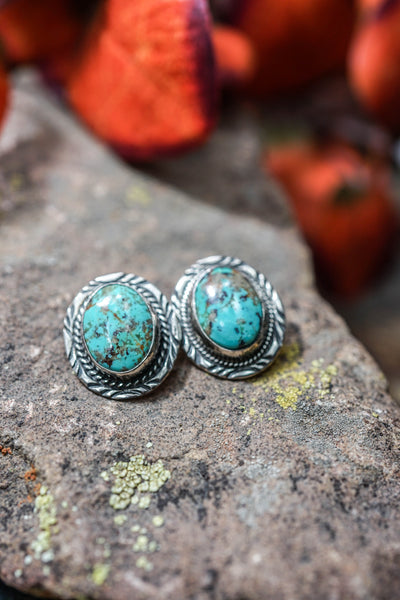 Assorted Turquoise Earring