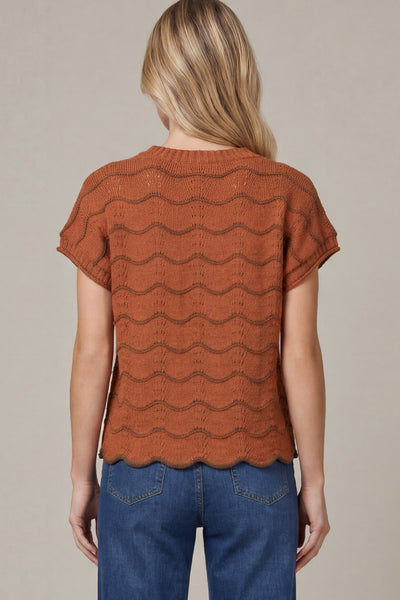 Scallop Striped Knit Sweater