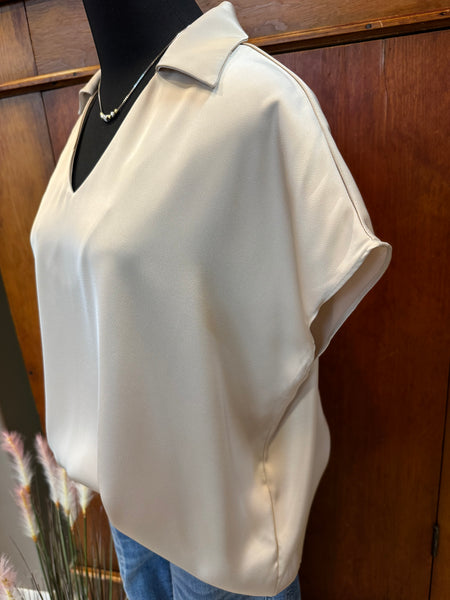 Satin Collar V-Neck Blouse