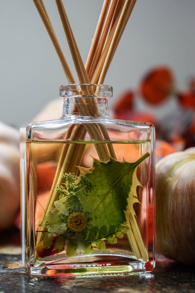 Rosy Rings Reed Diffuser - Red Currant & Cranberry