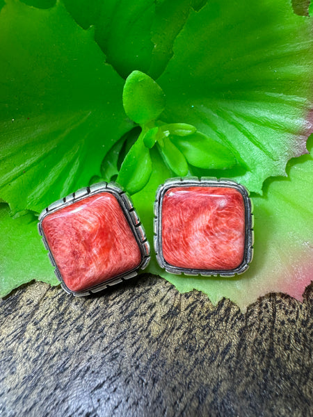 Select Lines Mexico Made Post Earrings