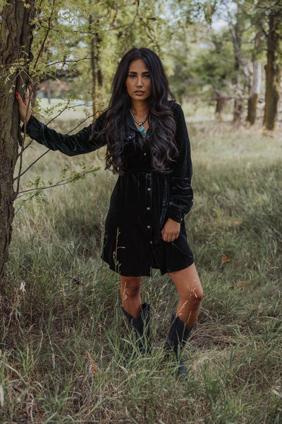 Tasha Polizzi Liza Velvet Tunic
