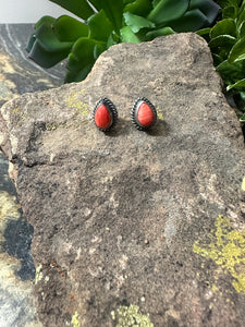 Spiny Oyster Tear Drop Earring