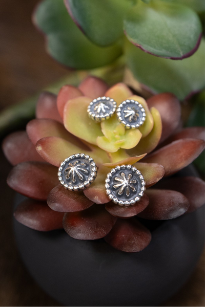 ALZ Mini & Small Star Post Earrings