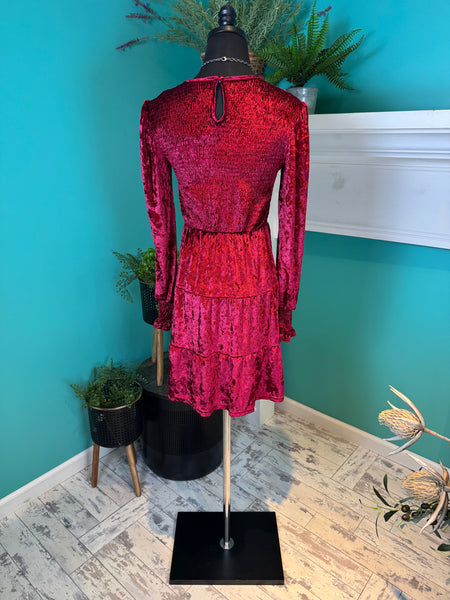 Rosa Clothing Velvet Ruffled Dress