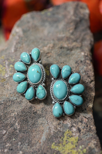 ALZ Turquoise Half Cluster Post Earring