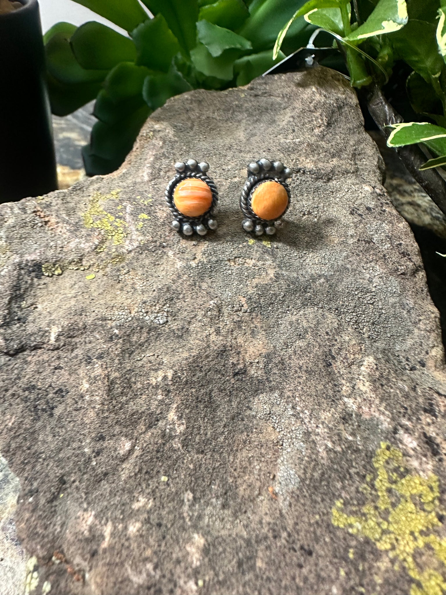 ALZ Round Post Earring
