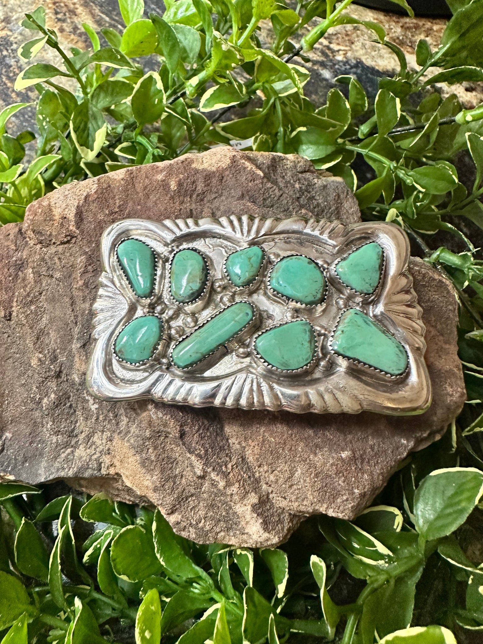 ALZ 8 Stone Turquoise Buckle