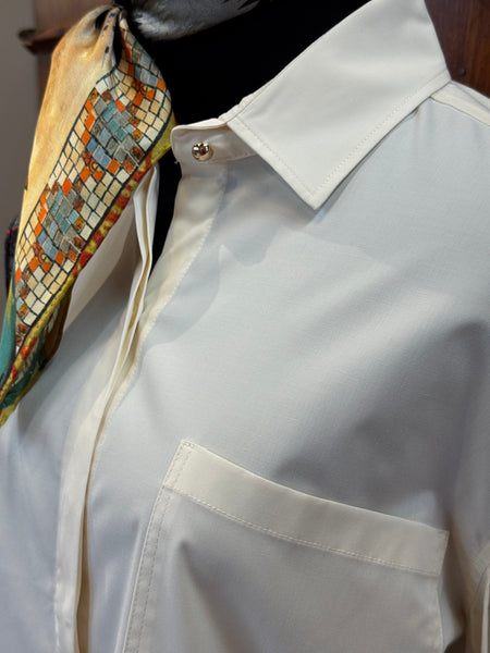 Etta Pleated Balloon Sleeve Shirt