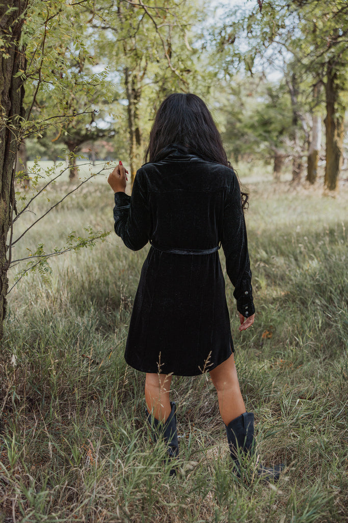 Tasha Polizzi Liza Velvet Tunic/Dress Cummings Carousel Tasha Polizzi Liza Velvet Tunic/Dress Cummings Carousel
