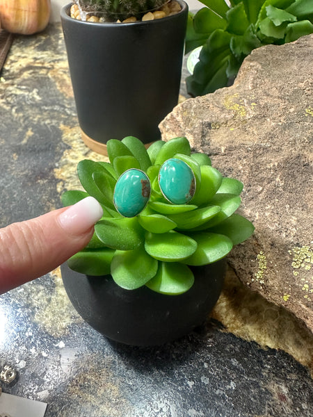 ALZ Oval Turquoise Post Earrings