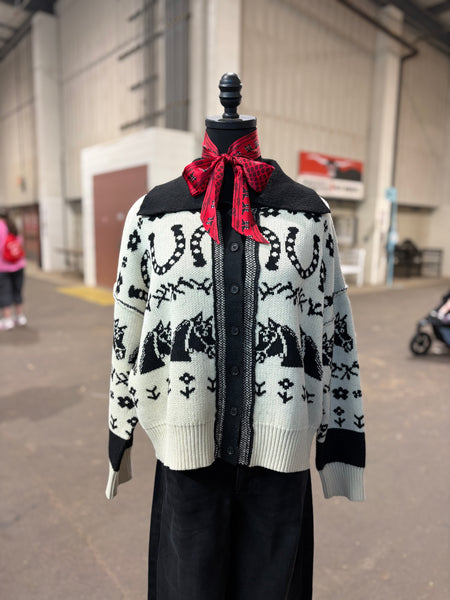 Western Button Down Sweater