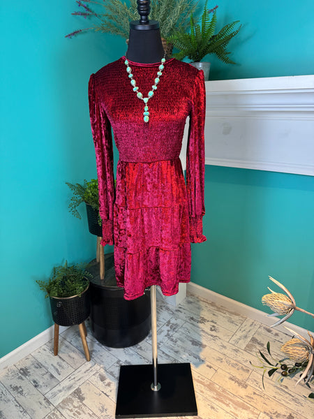Rosa Clothing Velvet Ruffled Dress