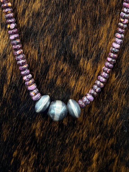 Purple Spiny Oyster
