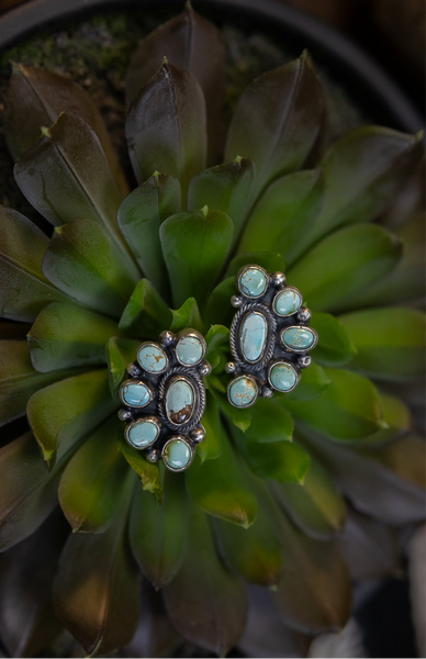 SLL The Cowgirl Cluster Set