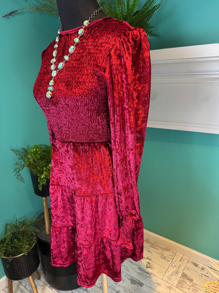 Rosa Clothing Velvet Ruffled Dress