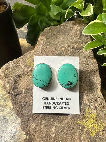 ALZ Chunky Turquoise Post Earring