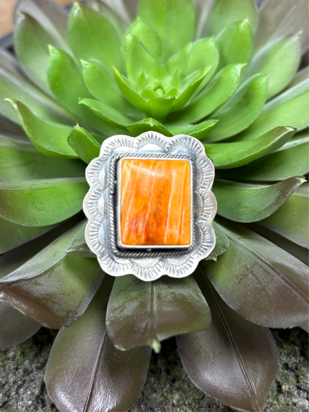 SLL Scallop Spiny Oyster Ring