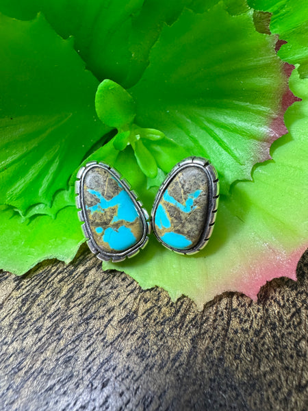 Select Lines Mexico Made Post Earrings