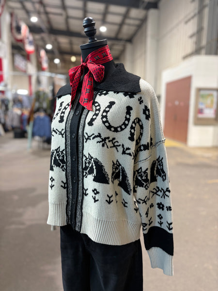 Western Button Down Sweater