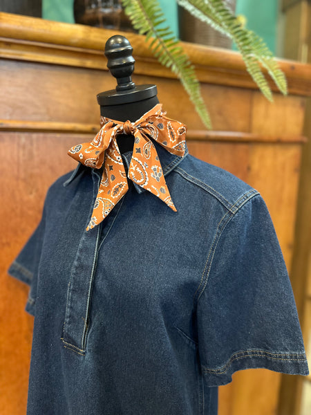Mini Denim Collared Dress