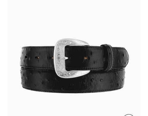 Brighton Ostrich Print Dress Belt
