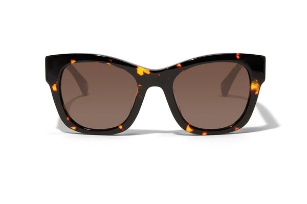 Brighton Contempo Medallion Sunglasses