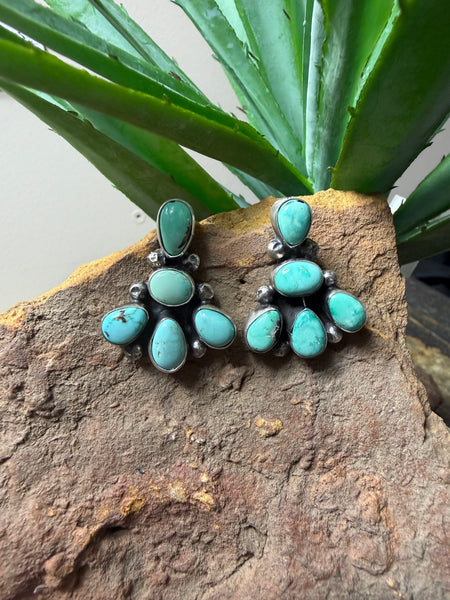 ALZ 5 Stone Cluster Post Earrings