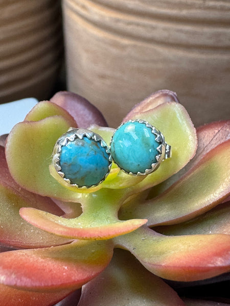 ALZ Small Turquoise Post Earrings