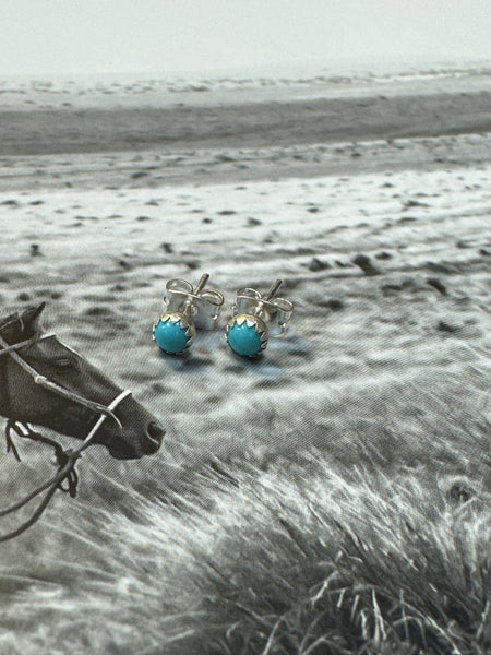 ALZ Mini Turquoise Post Earring