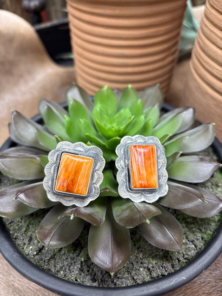 SLL Scallop Spiny Oyster Ring