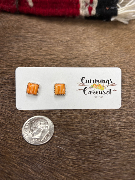 SLL Assorted Mini Post Earrings