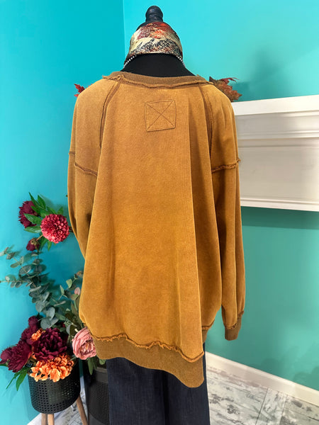 EE:Some Horse Graphic Sweatshirt