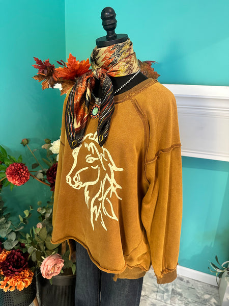 EE:Some Horse Graphic Sweatshirt