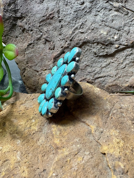 The Grand Entry Ring