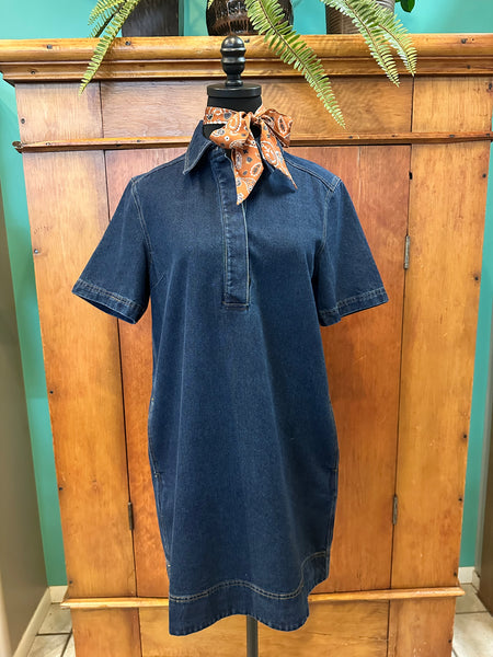 Mini Denim Collared Dress