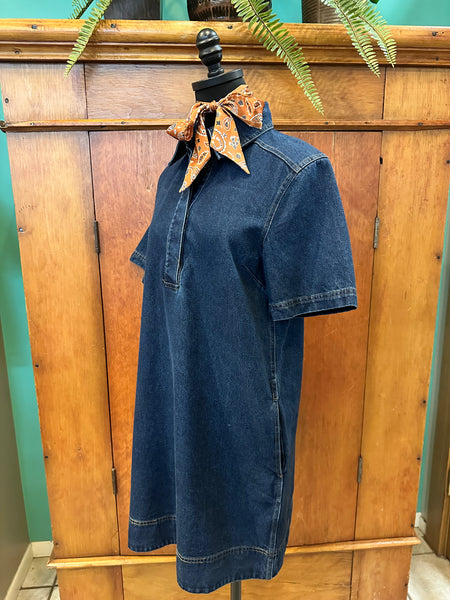 Mini Denim Collared Dress