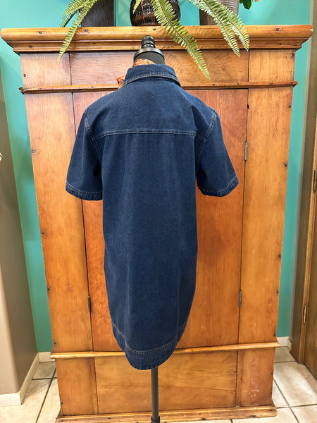 Mini Denim Collared Dress