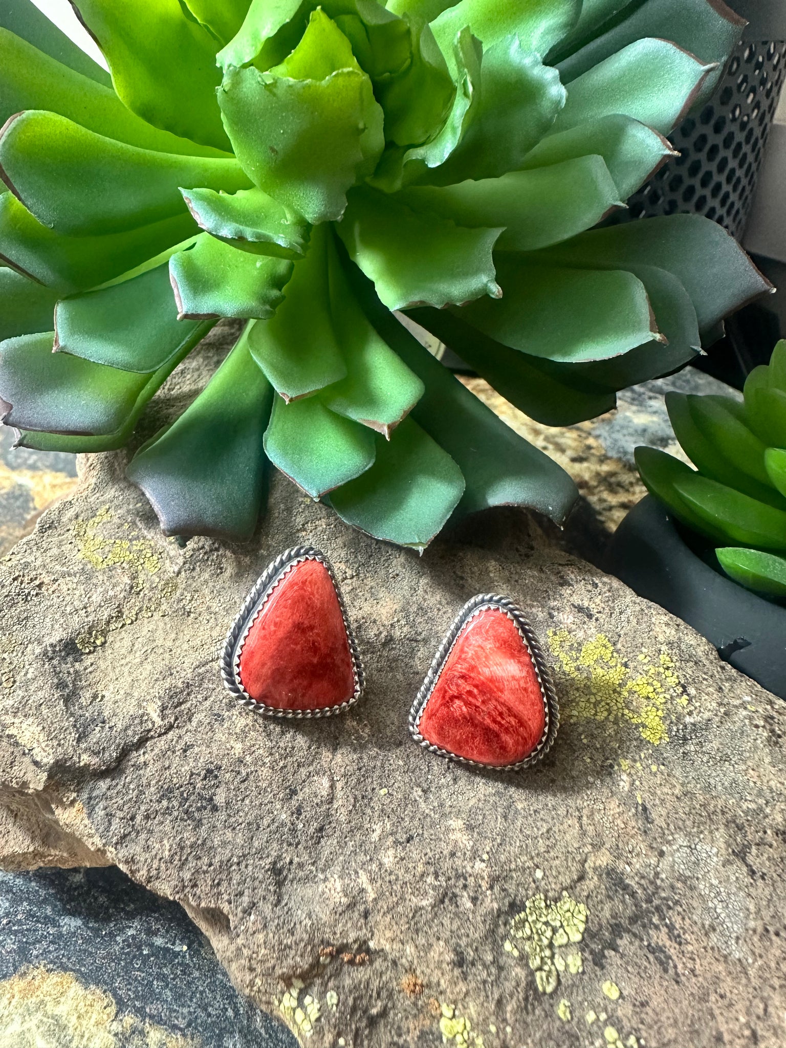 The Spiny Oyster Post Earring