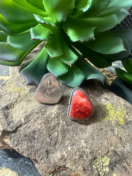 The Spiny Oyster Post Earring