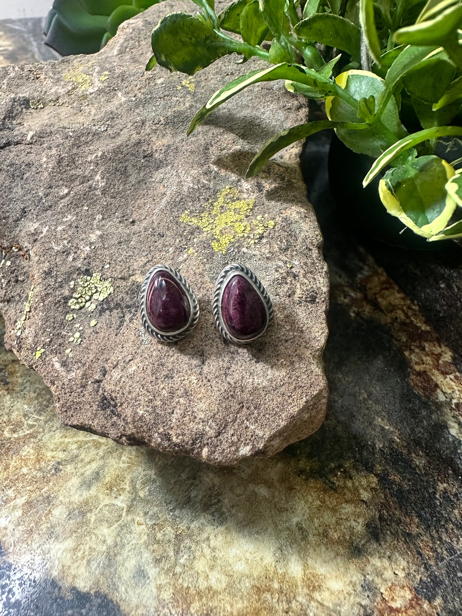 Tear Drop Purple Spiny Oyster Earring