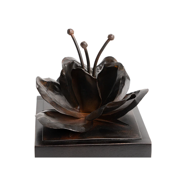 Jan Barboglio Valentina Wooden Box