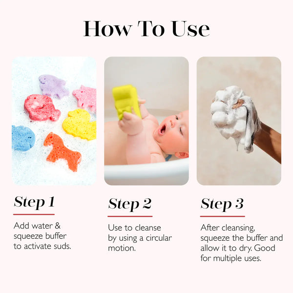 Spongelle sponge Nature Animals- Freddie Frog