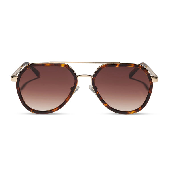 Joey in Rich Tortoise